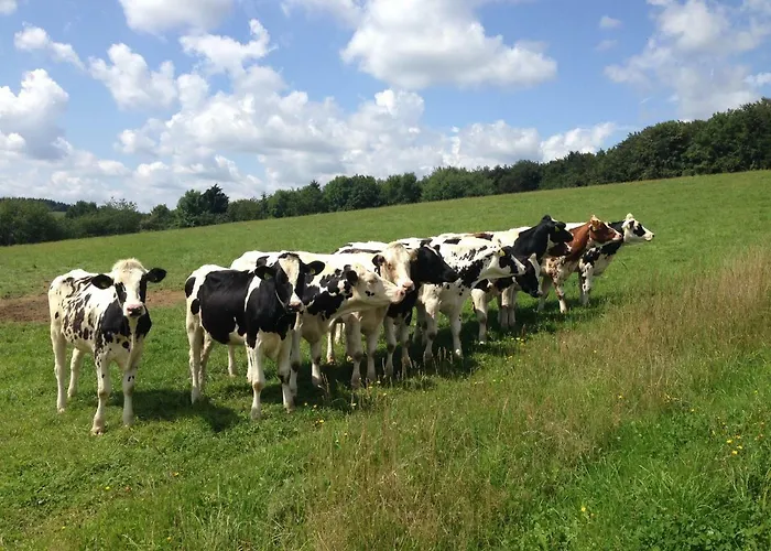 Waldrand Prázdninový dům *